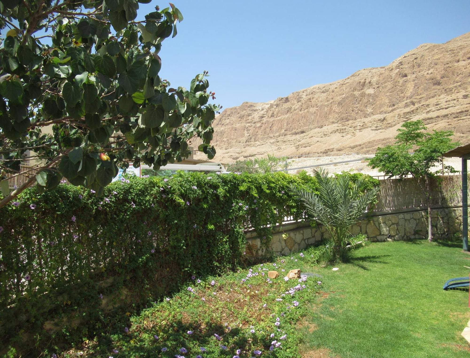 Unique&Warmy Place In The Dead Sea Avnat Экстерьер фото